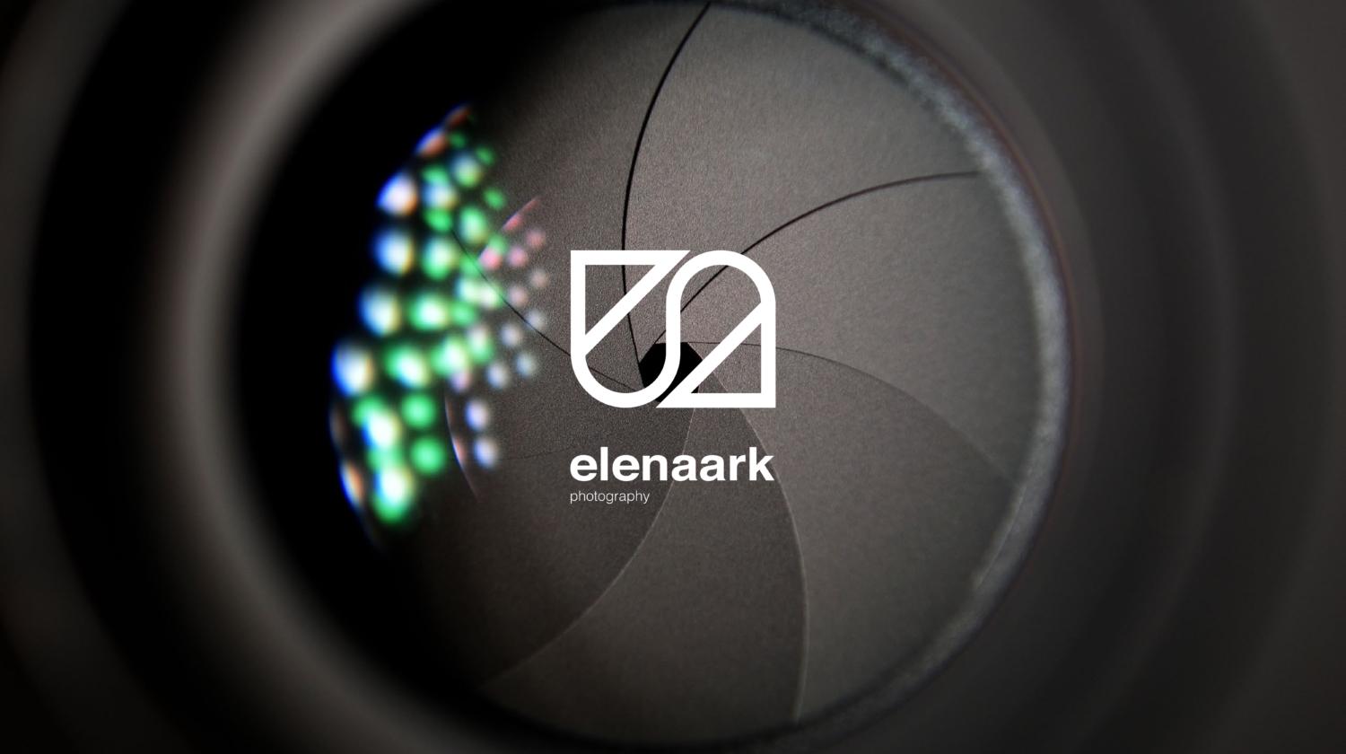 Elenaark logo design